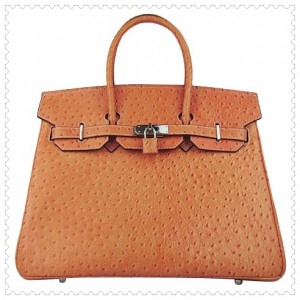 hermes-birkin-bag-35-premium-ostrich-leather-orange-silver